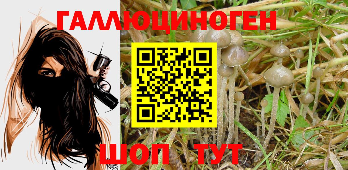 Галлюциногенные грибы Magic Shrooms Ртищево